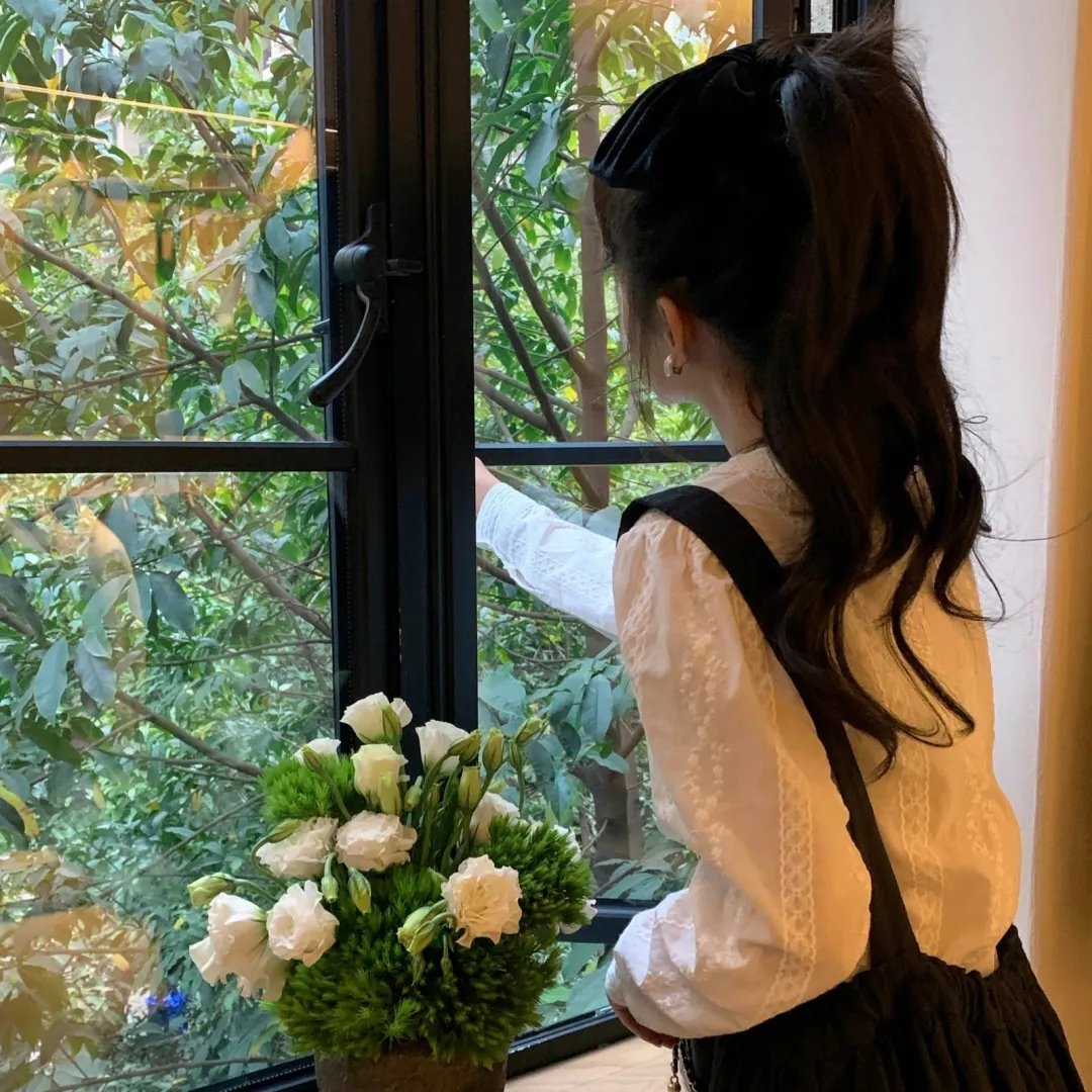 消失的皮箱 海报